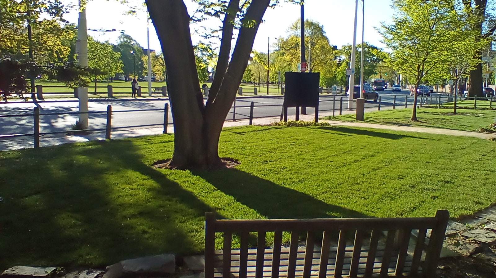 sodded front lawn Outdoors