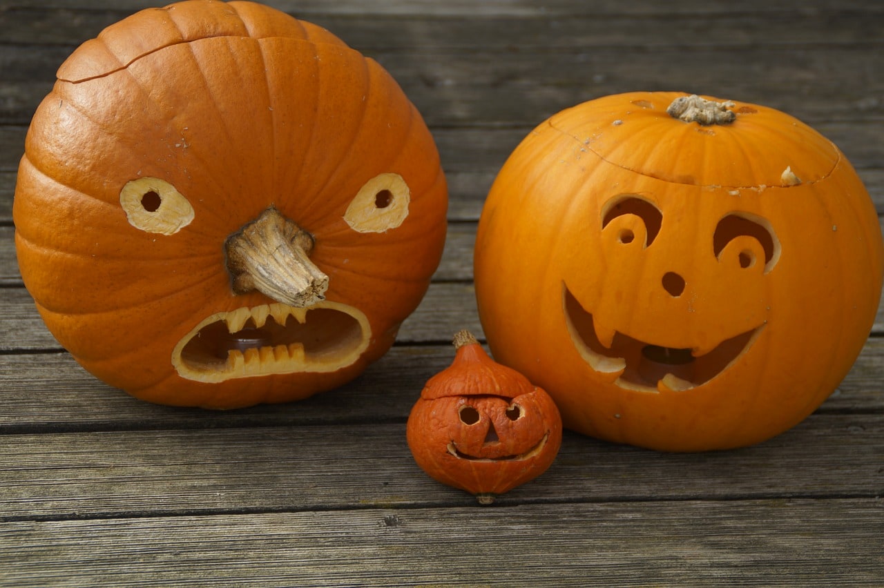 pumpkins three Stock Images Seasons