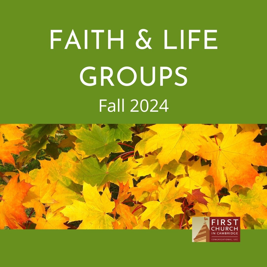 faith & life groups fall 2024